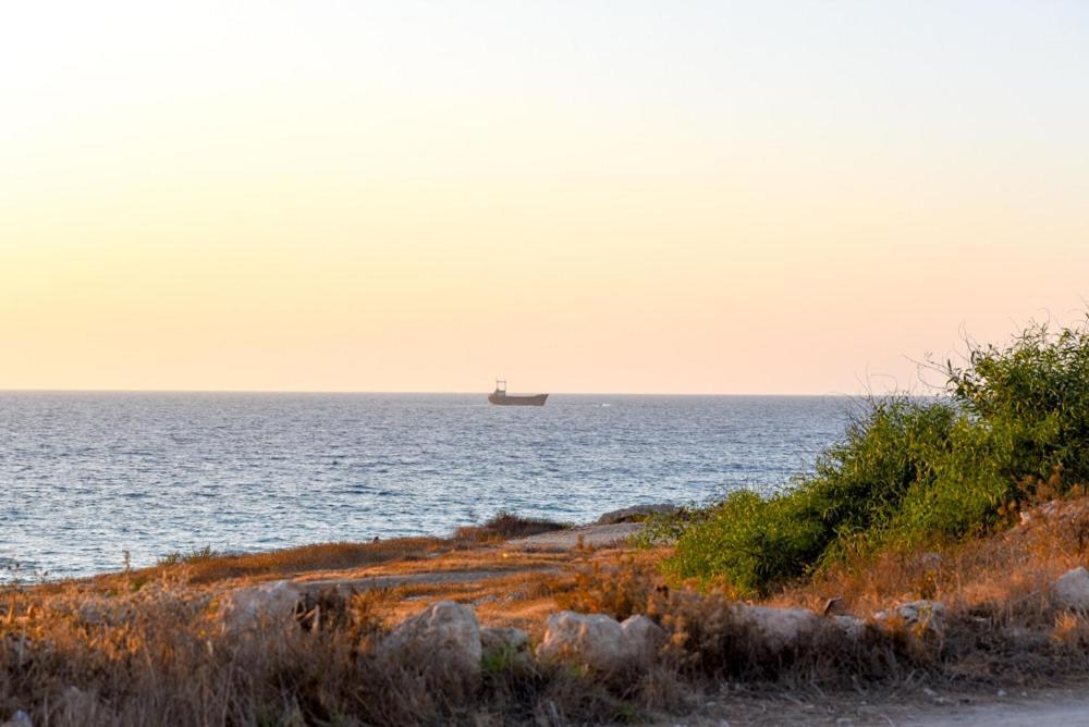 Paphos Beautiful Apartment Near The Sea And A Large Private Garden מראה חיצוני תמונה