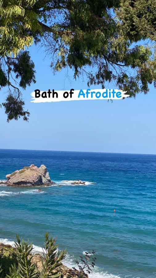 Paphos Beautiful Apartment Near The Sea And A Large Private Garden מראה חיצוני תמונה