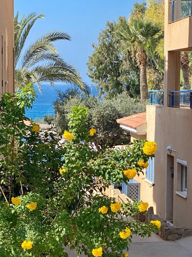 Paphos Beautiful Apartment Near The Sea And A Large Private Garden מראה חיצוני תמונה